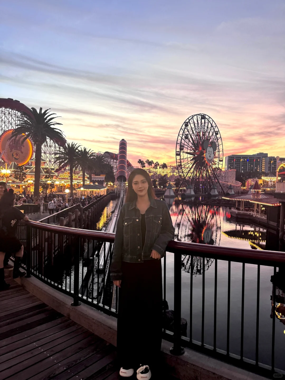 California Disneyland Adventure Park🎢 Guide