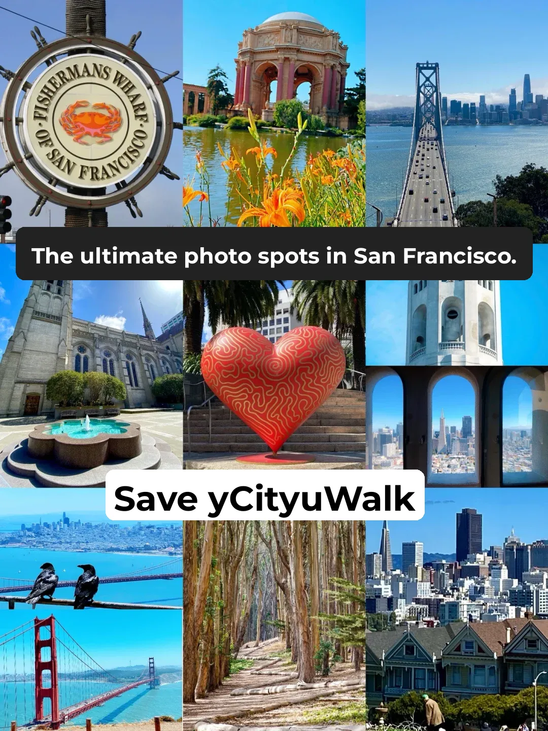 🌟Top Must-Visit Spots in San Francisco for the Ultimate Photo Op🌟