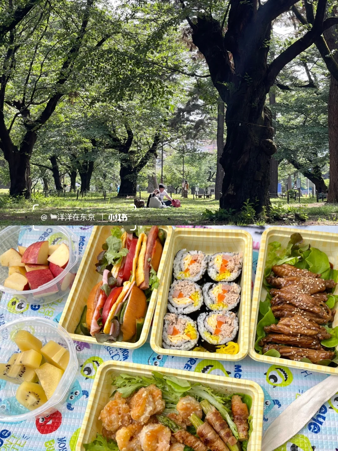 Tokyo Daily 🇯🇵｜ Picnic Day