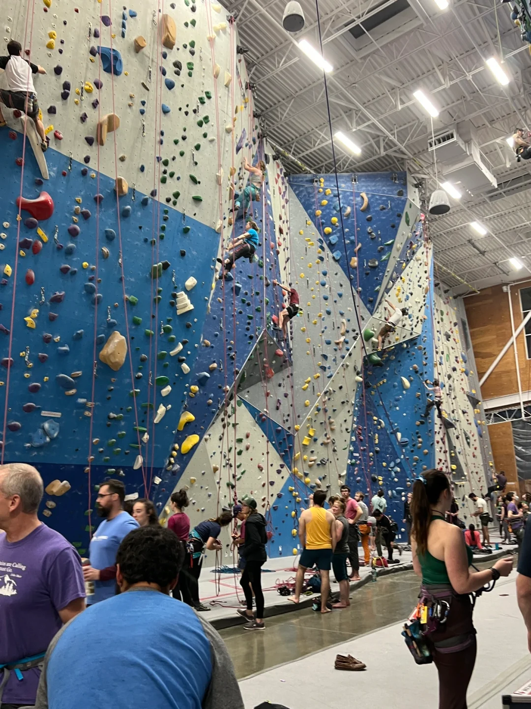Seattle Rainy Day Activities｜Top Indoor Rock Climbing Gym Recommendations🧗