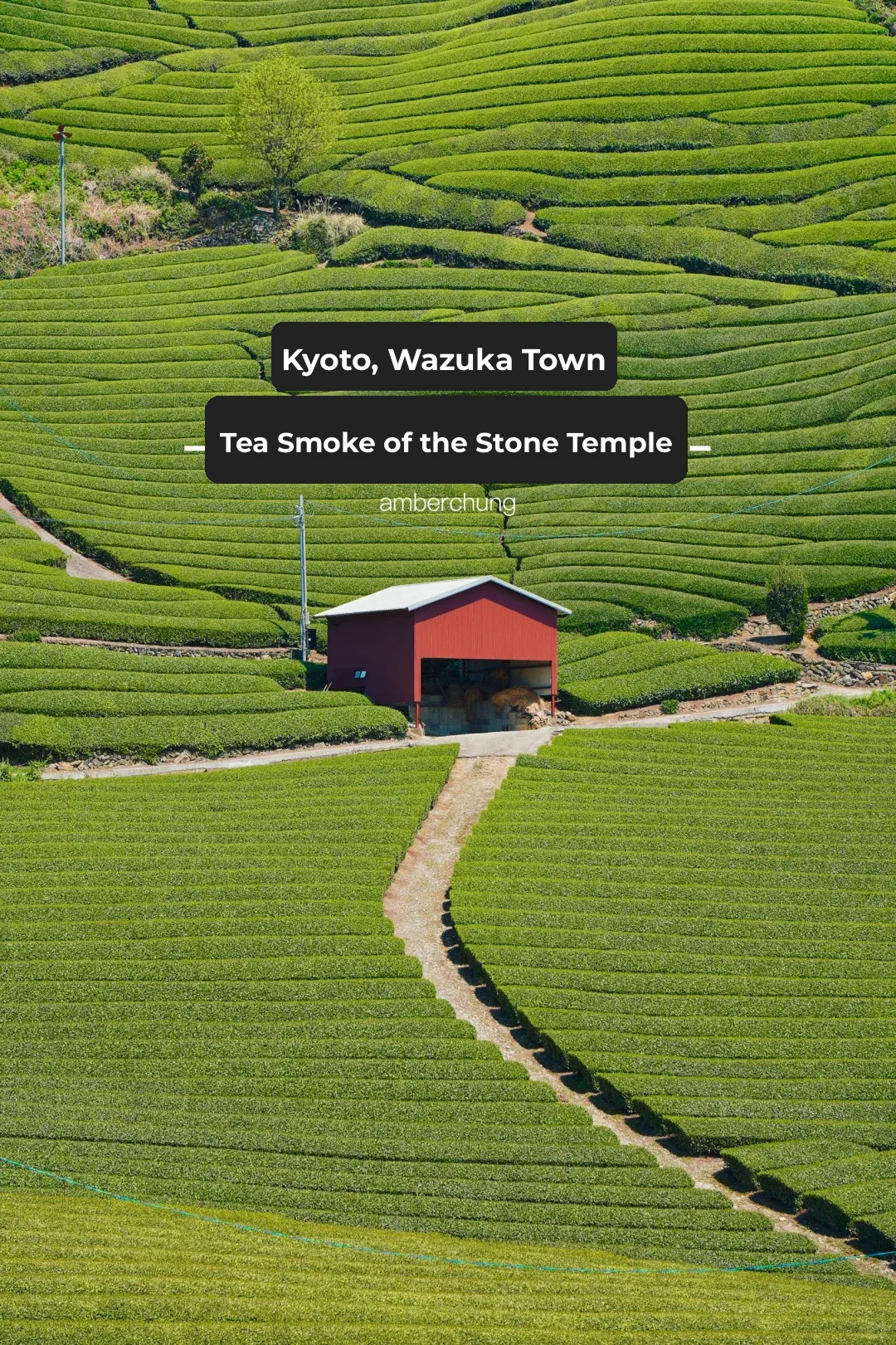 Kyoto, Wazuka | Escaping to the Secluded Countryside in "Tea's Kyoto" 🌿