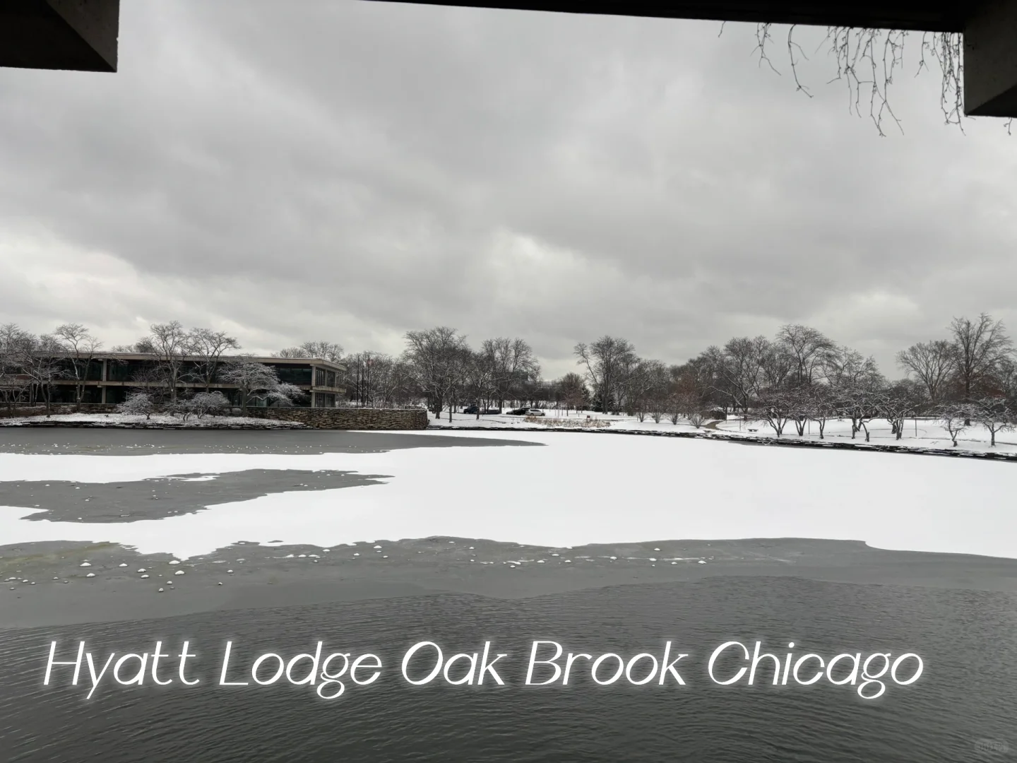 Ultimate Guide to Eating, Drinking, and Having Fun Around Champagne: A Must-Read for Travel Enthusiasts!