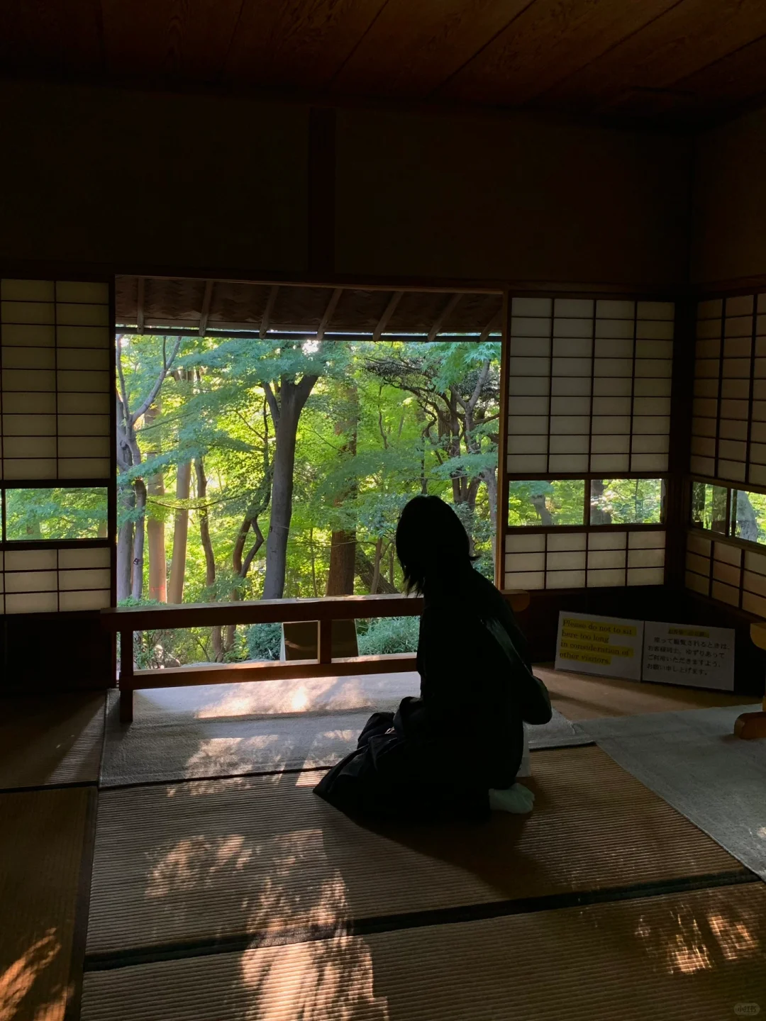 A Tranquil Oasis in Daikanyama 🏡