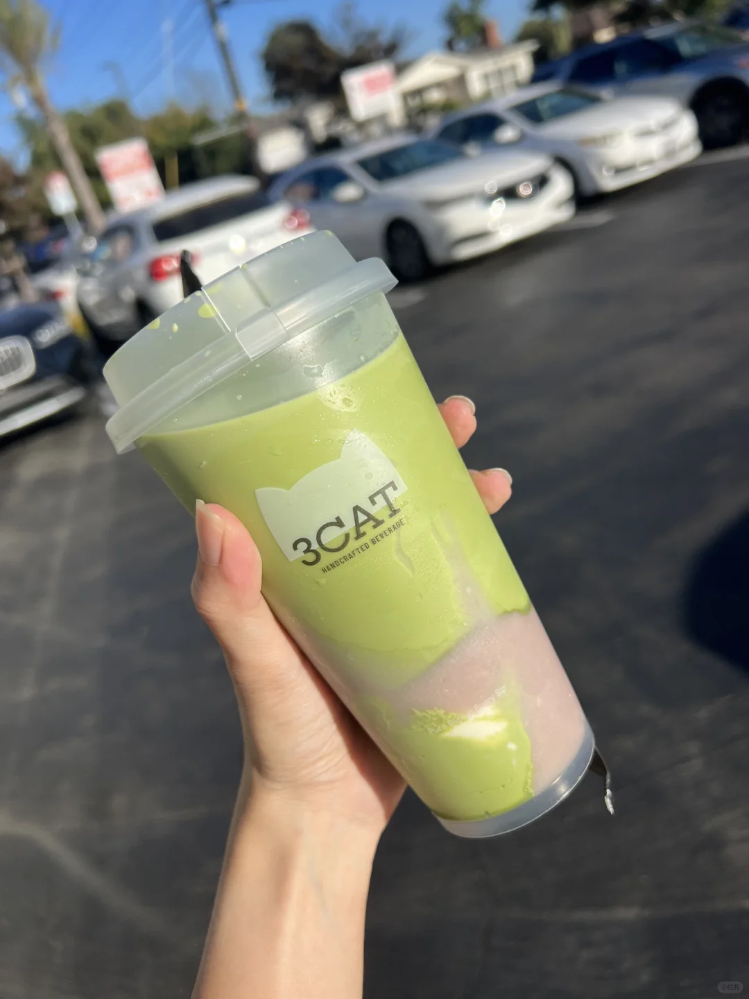 About the Three Lions, I Have Something to Say