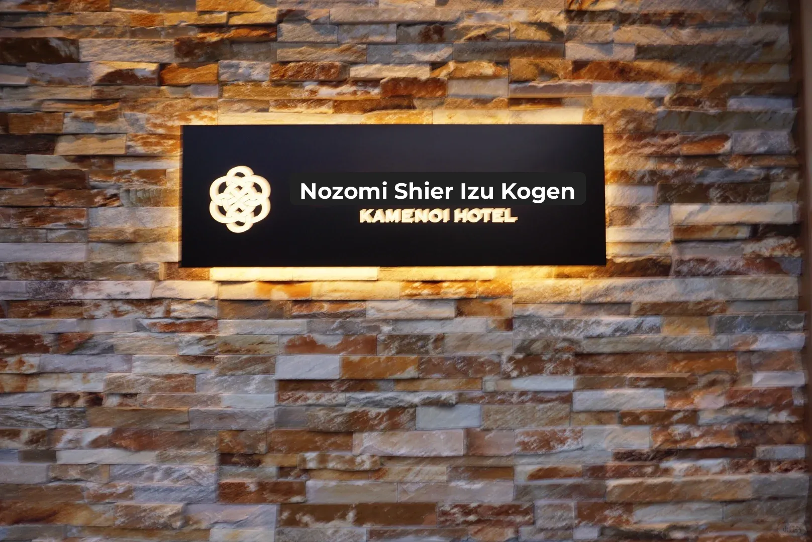 10-Day Tokyo Trip Part 4: The Most Memorable Two-Day Adventure in Ito Highland