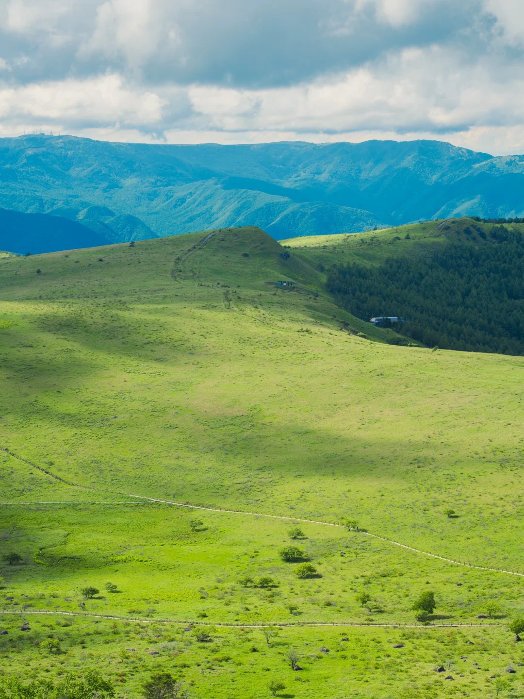 Beginner-Friendly Summer Hiking Trails Near Tokyo | Kiri-ga-mine Highland ⛰️