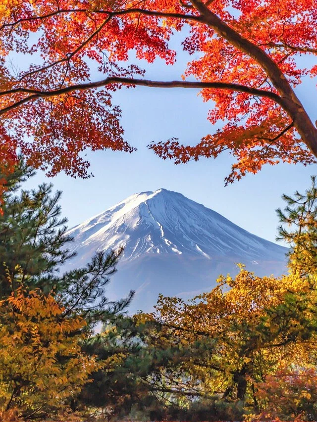 Seasonal Exclusive 🍁 2024 Japan Autumn Foliage Guide, Miss It and Wait a Year