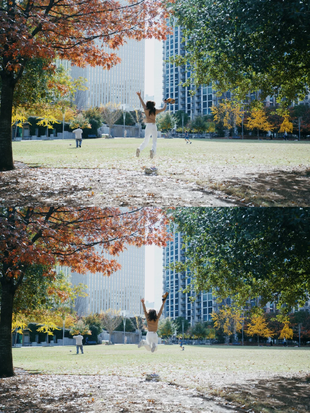 Charlotte, North Carolina – A Thanksgiving Note