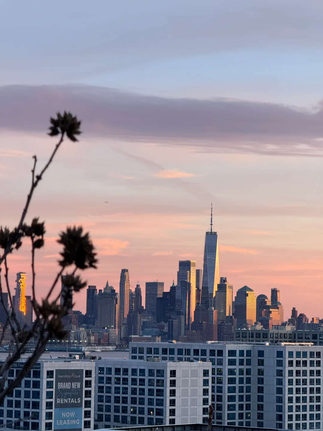 Plog | Is Spring Finally Coming to New York?