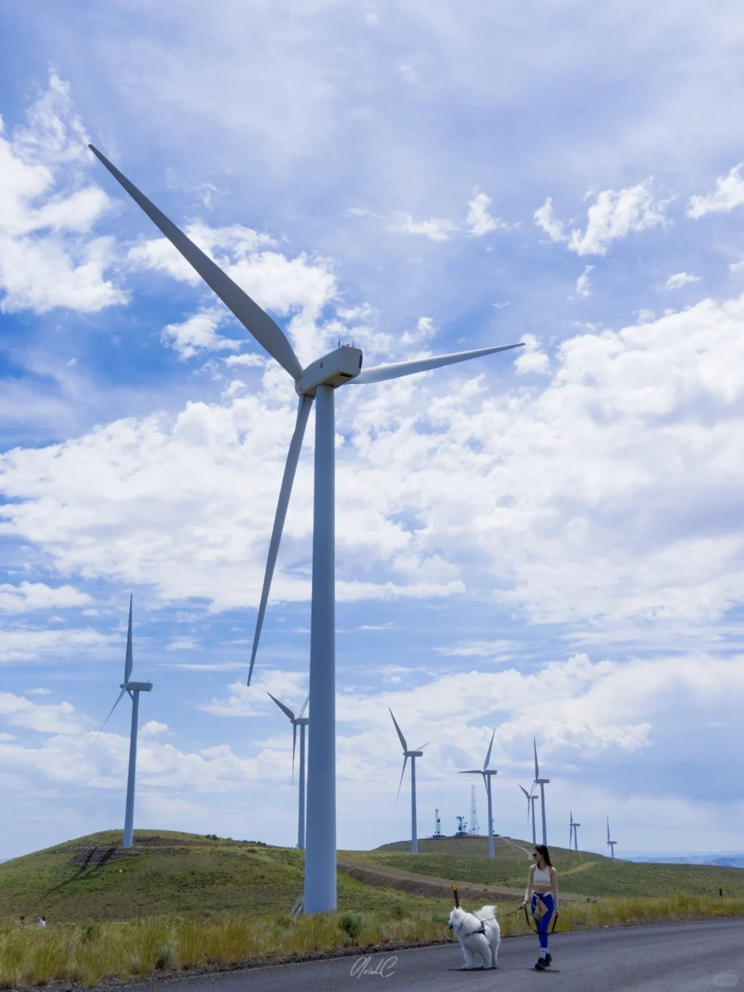 Quincy Day Trip Guide ~ | Seattle Area