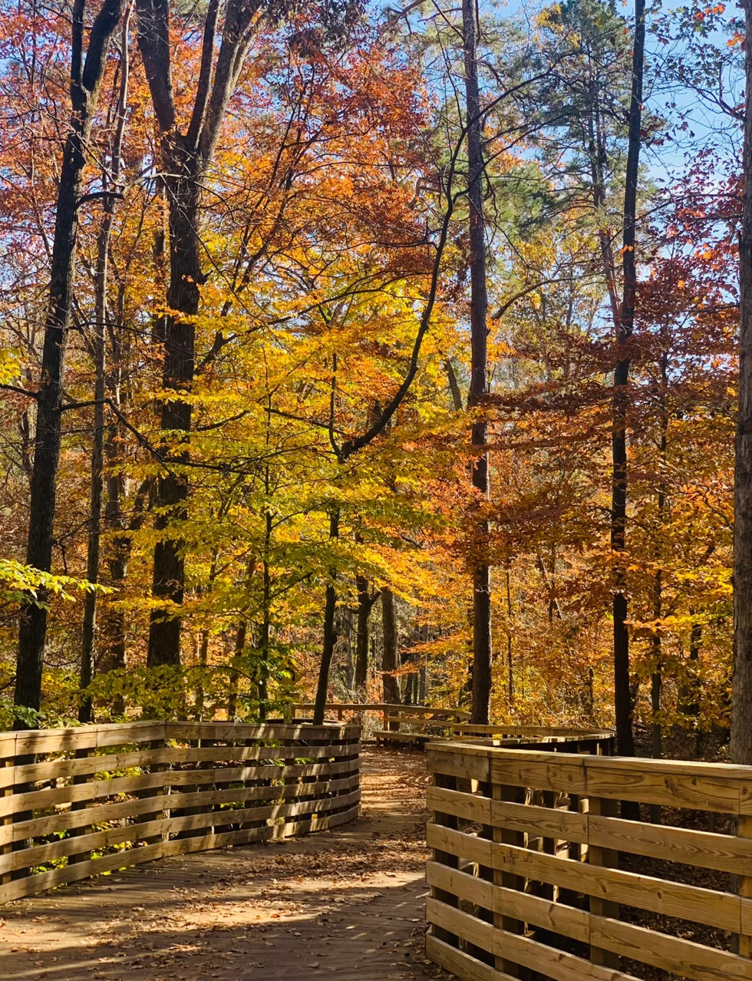 Atlanta's Favorite Hiking Trails