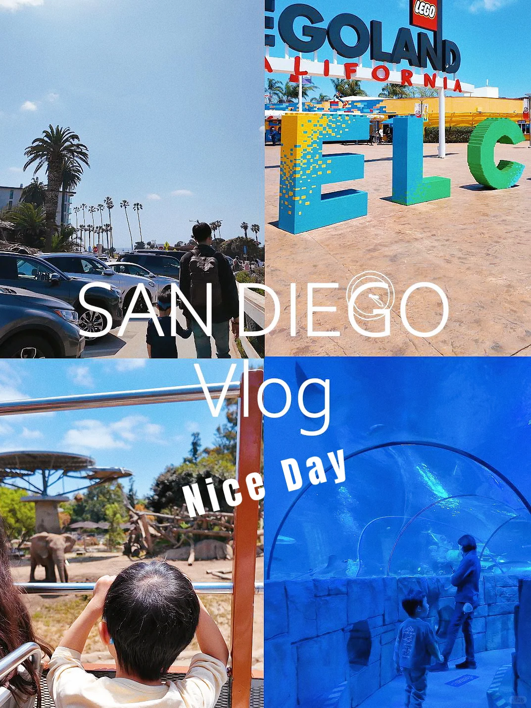 Take the Kids to San Diego for Your Next Family Trip! A Place That Will Make You Wake Up Smiling Every Day