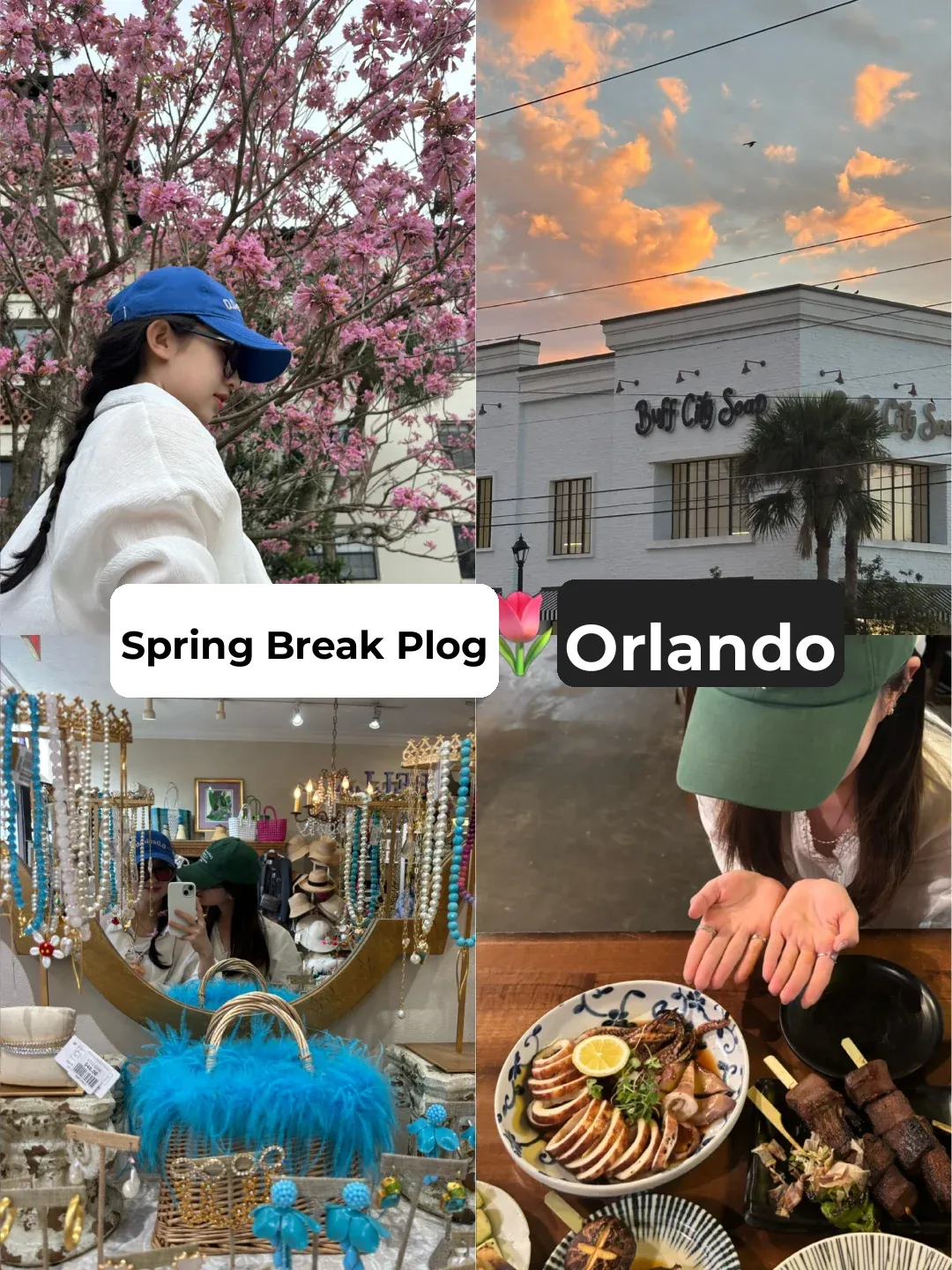 International Student's Spring Break Orlando Adventure Diary Vol. 1