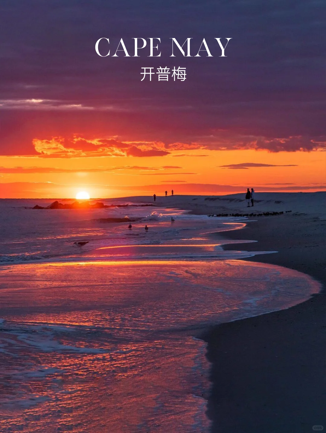 A Day Trip Guide to Cape May, NY: The Coastal Fairy Tale Town