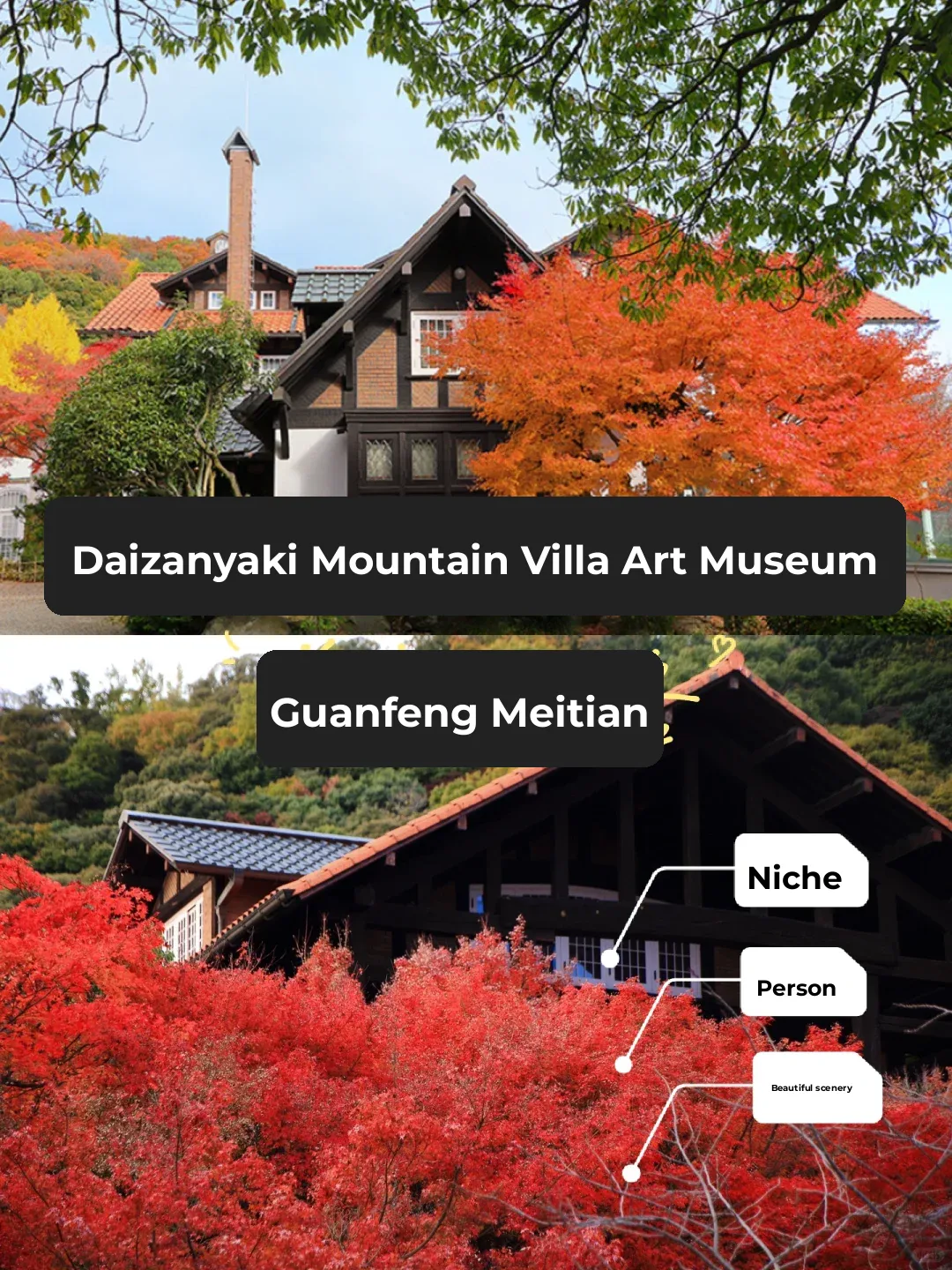Oyamazaki Villa Museum 🎨 Hidden Gem for Autumn Foliage!