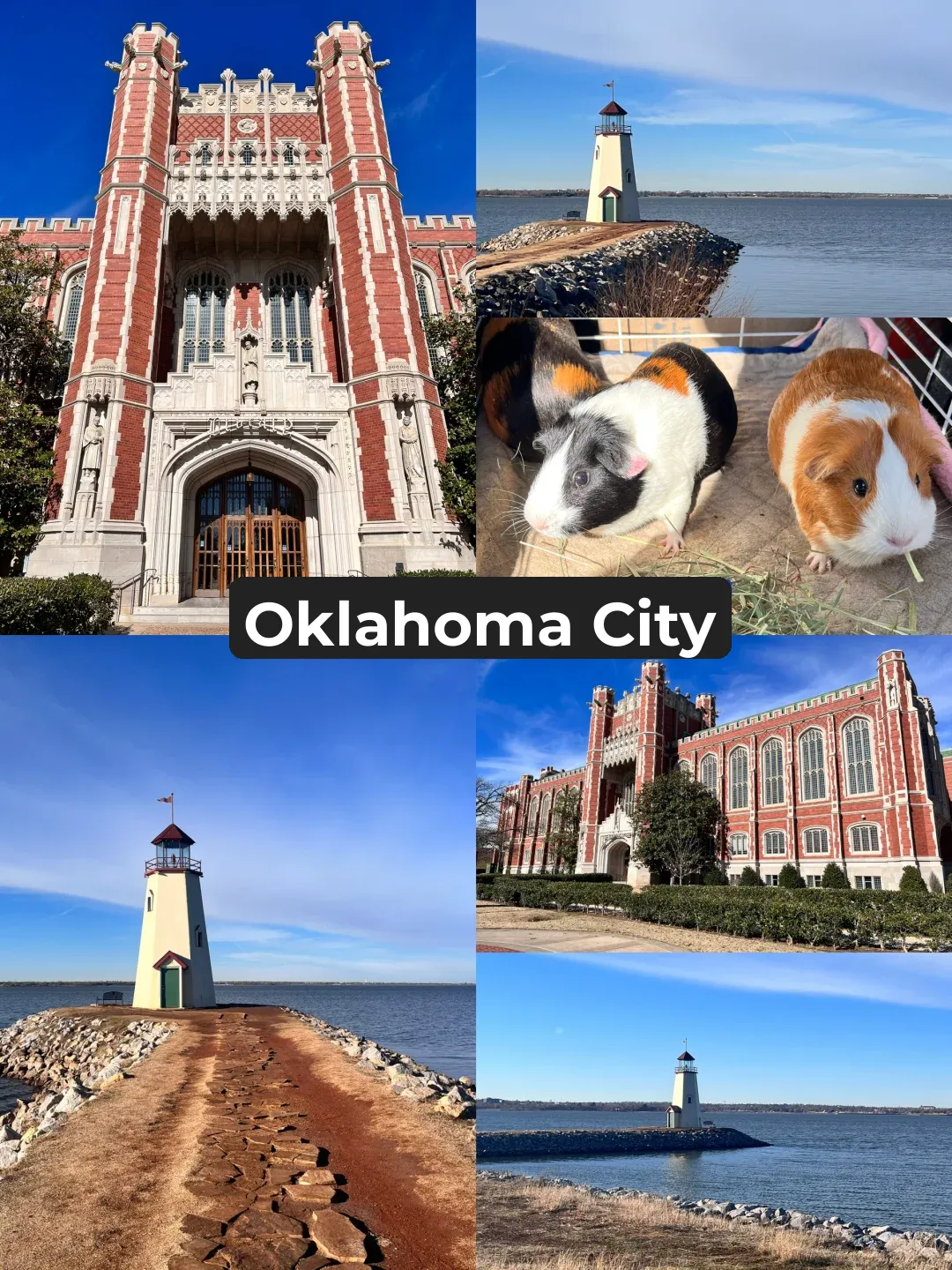 Oklahoma State | Oklahoma City (OKC) | University