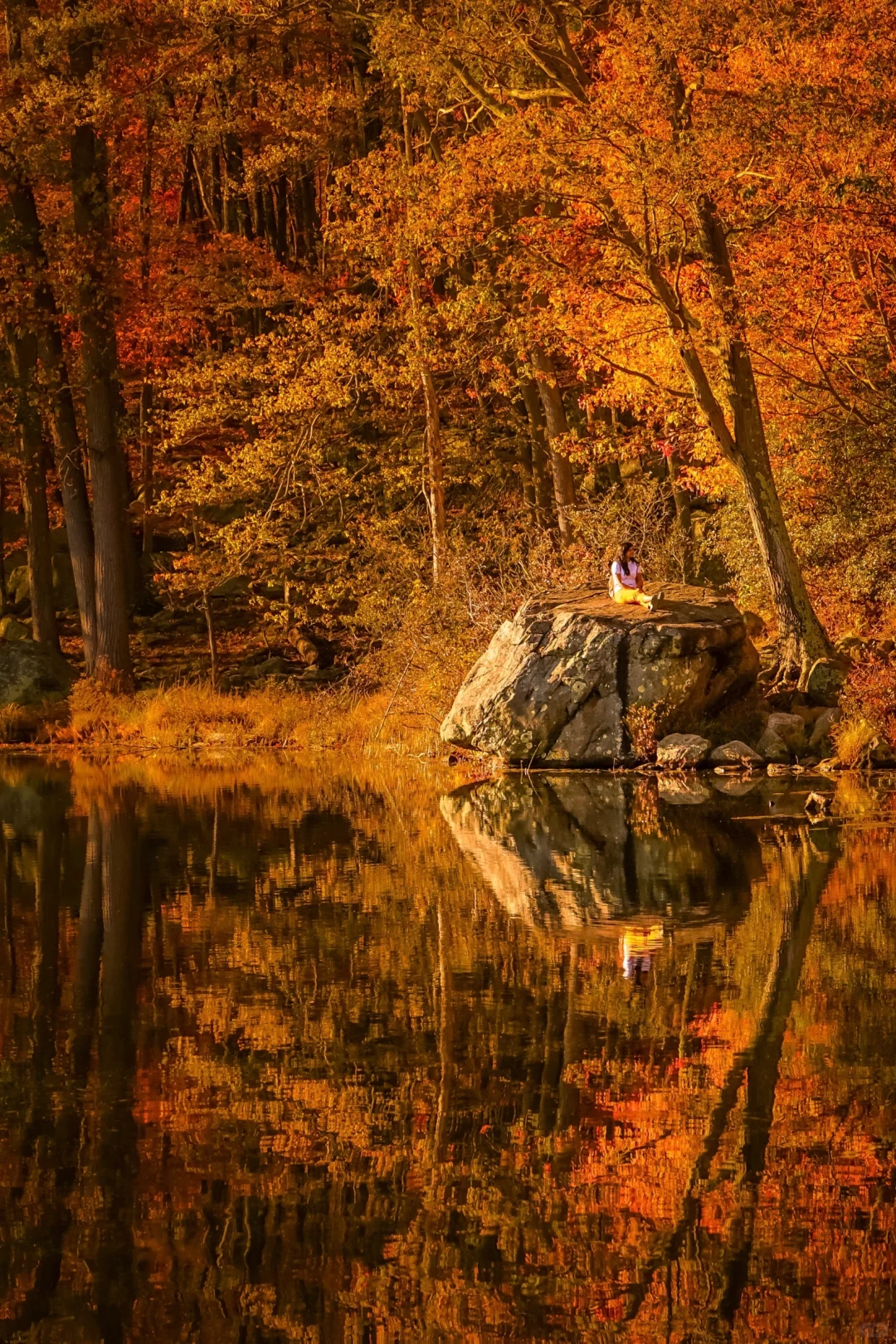 New York｜I Rarely Use the Word "Astonishing" to Describe a Park's Autumn