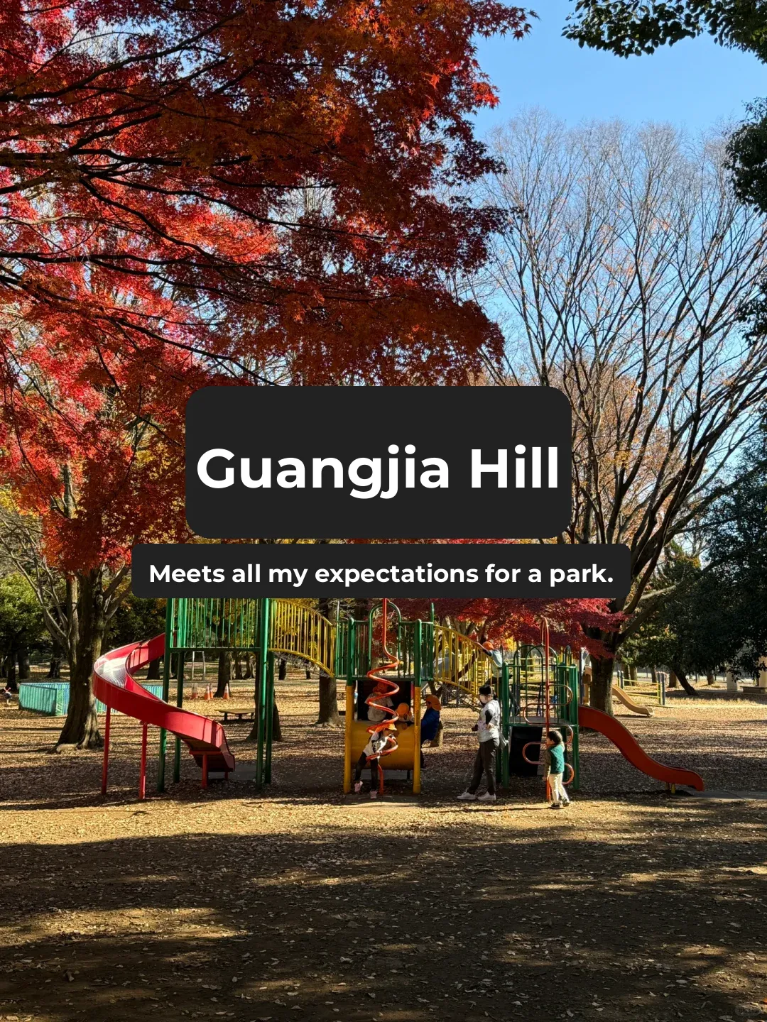 Plog: Life After Moving to Japan 🇯🇵 | This Park Made Me Want to Relocate