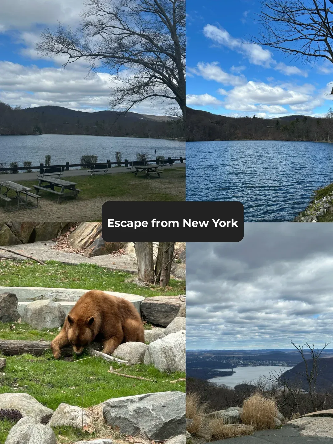 Escape NYC | So, Bear Mountain Does Have Bears 🐻 | 🚗 1 Hour Drive