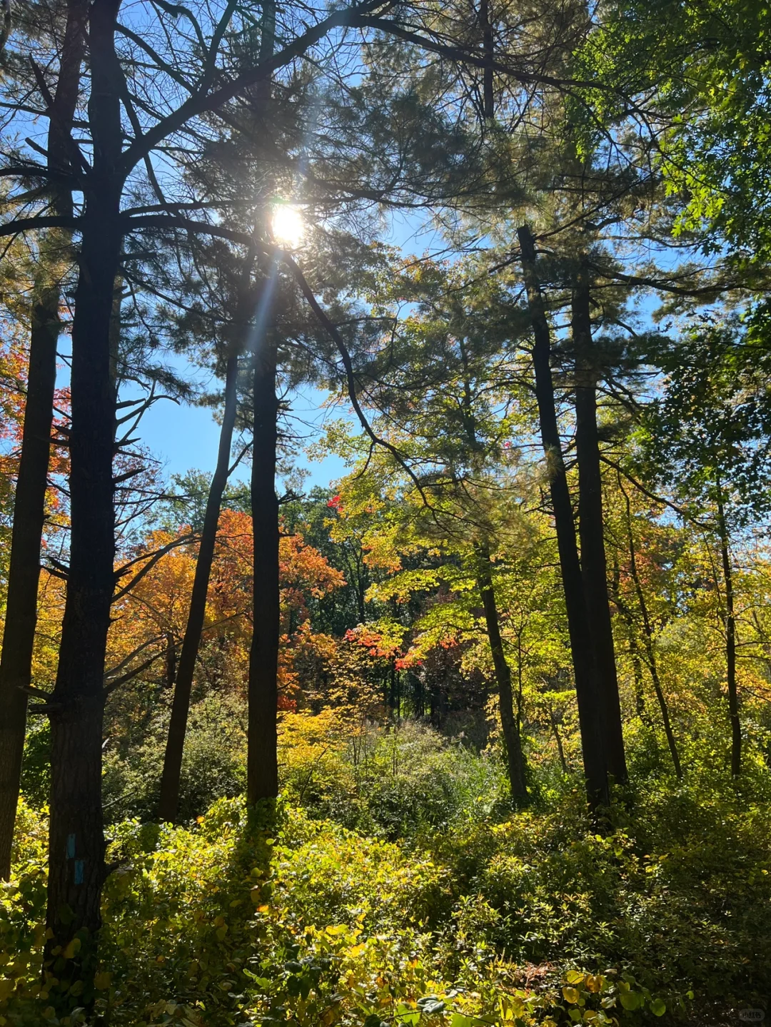 Prelude to Autumn - Beginner-Friendly Hiking Trails in Boston