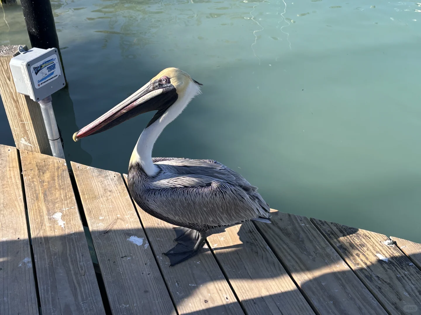 "Five Days and Four Nights in Miami and Key West: A Journey of Food and Scenic Beauty - Itinerary"