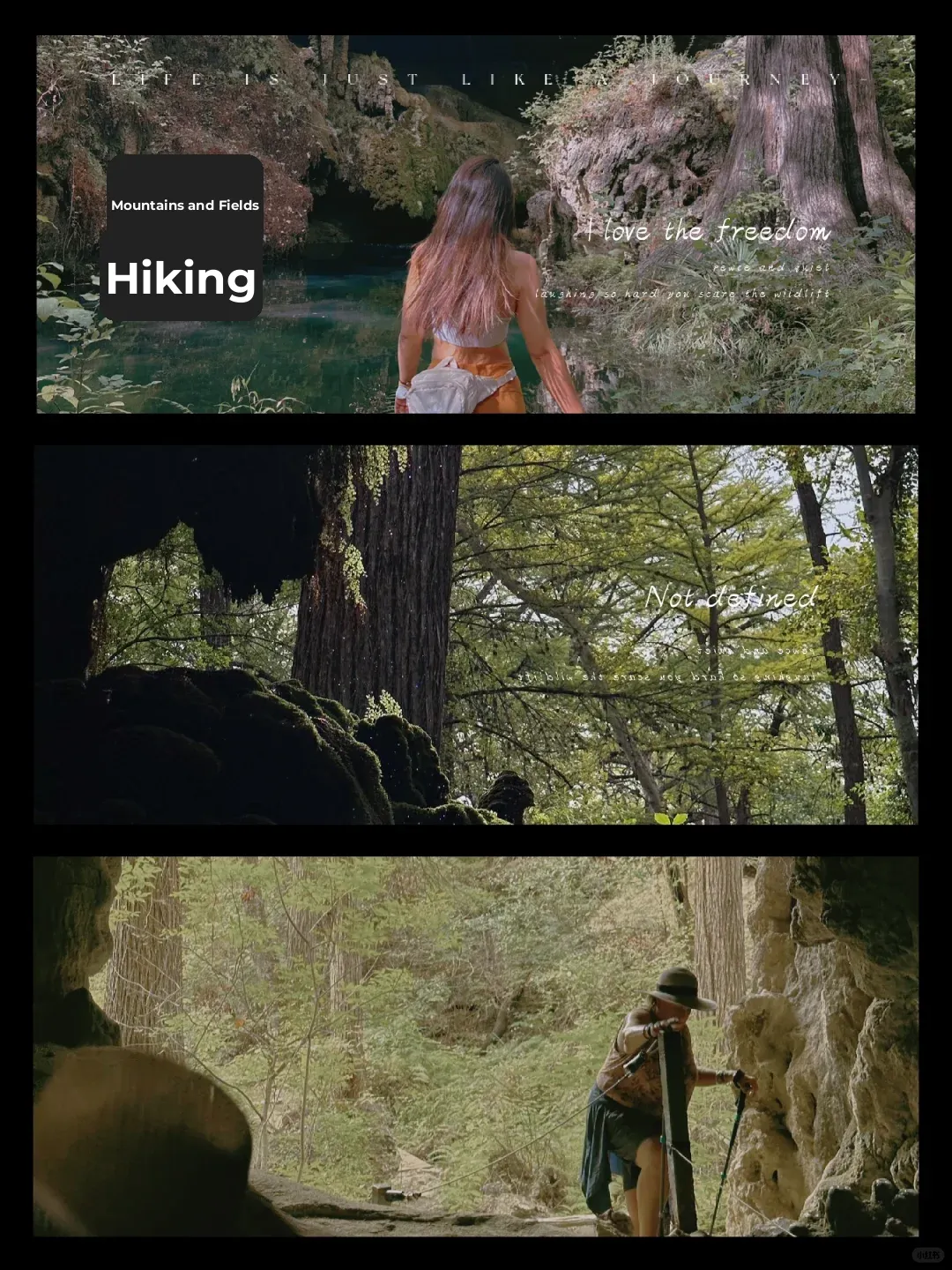 Austin｜Ultra-Soothing Oxygen-Rich Hike at Westcave Wilderness