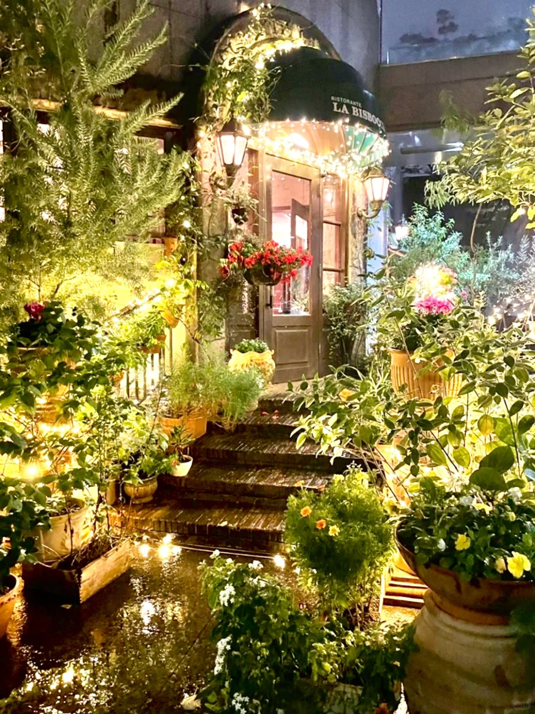 Tokyo's 🇮🇹 Dining Battleground: The Meat Paradise Restaurant That Stands Out