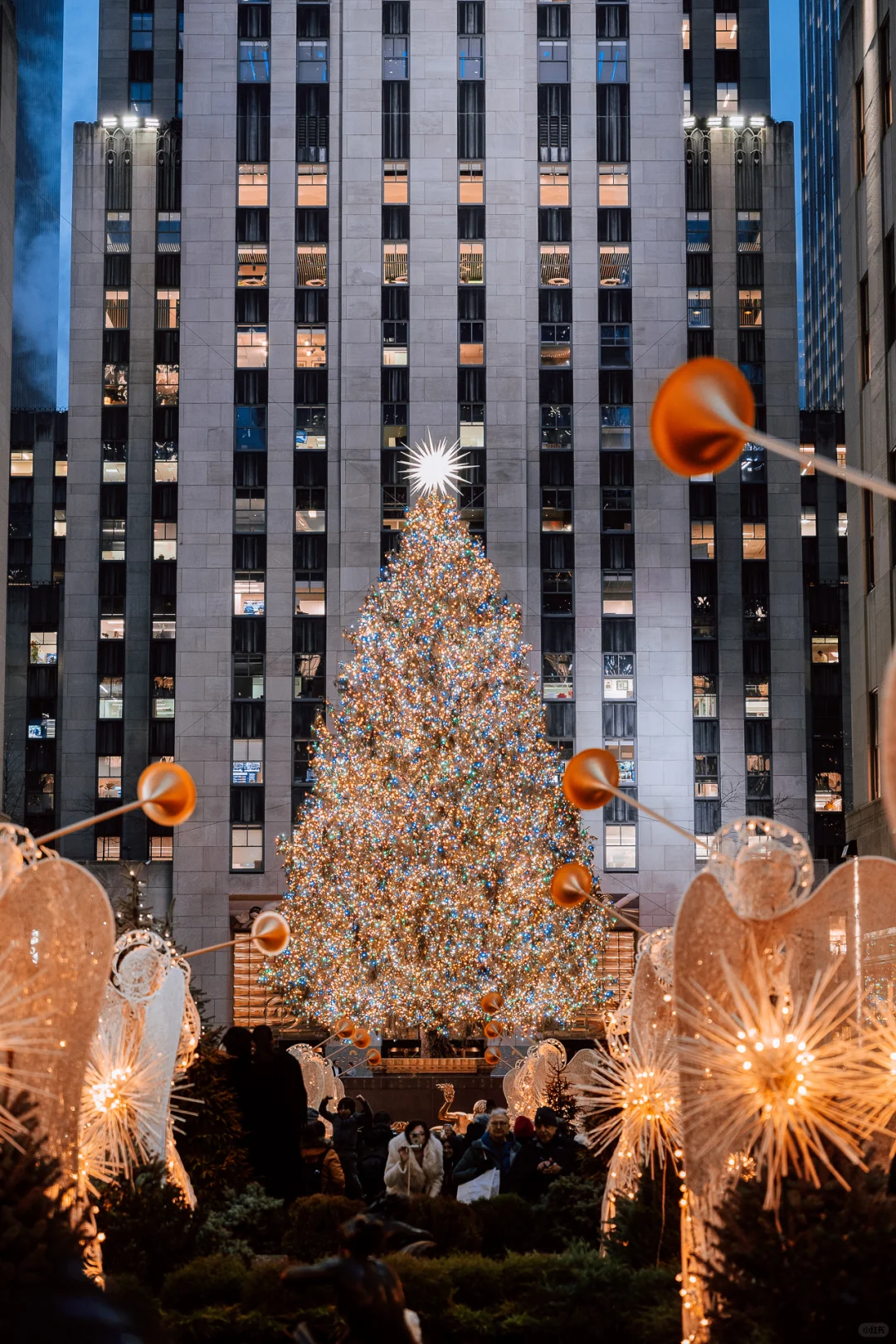 Sharing the Christmas Trees I Collected in New York 🎄