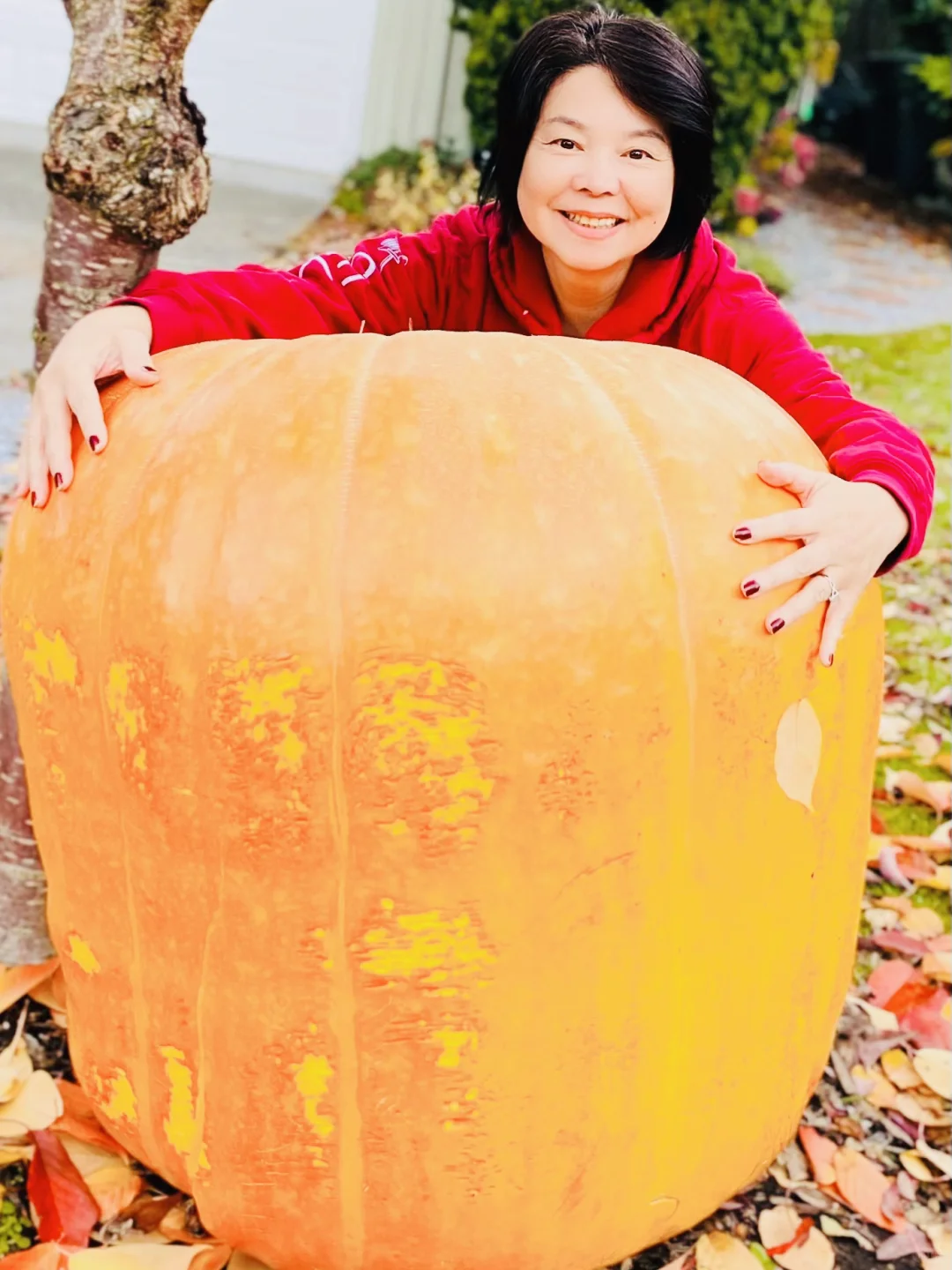 Check-in with the Giant Pumpkin