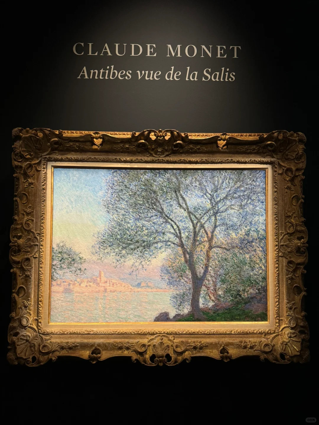 New York | Sotheby's Auction Show of the Year 🌟