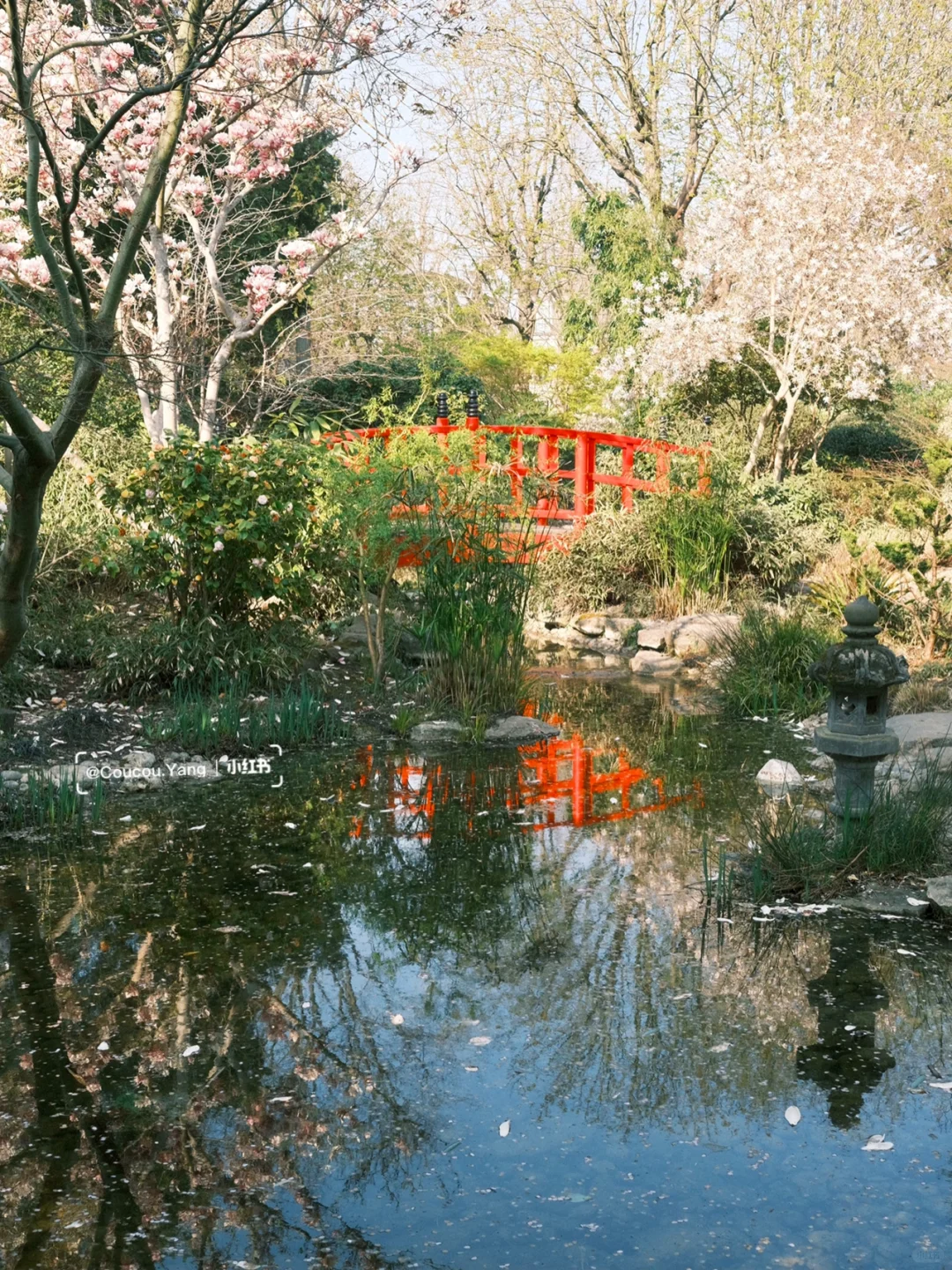 Around Paris | This Park Must Be at Its Peak Bloom!! 🌸