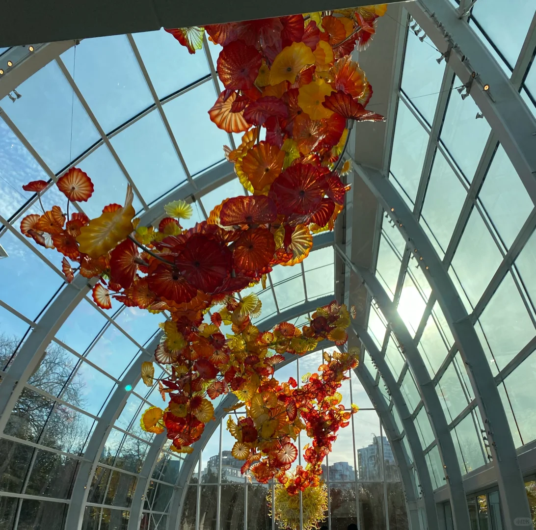 Seattle Space Needle Ticket Purchase Guide