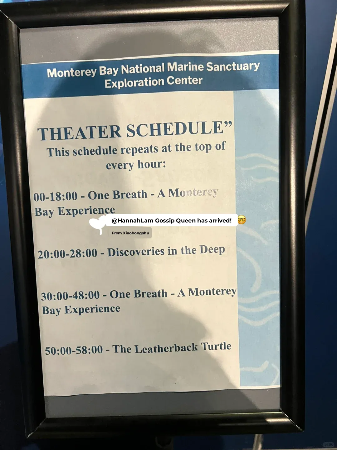 "Exploring the Bay Area with Kids: The Free Santa Cruz Aquarium is a Must-Visit!"