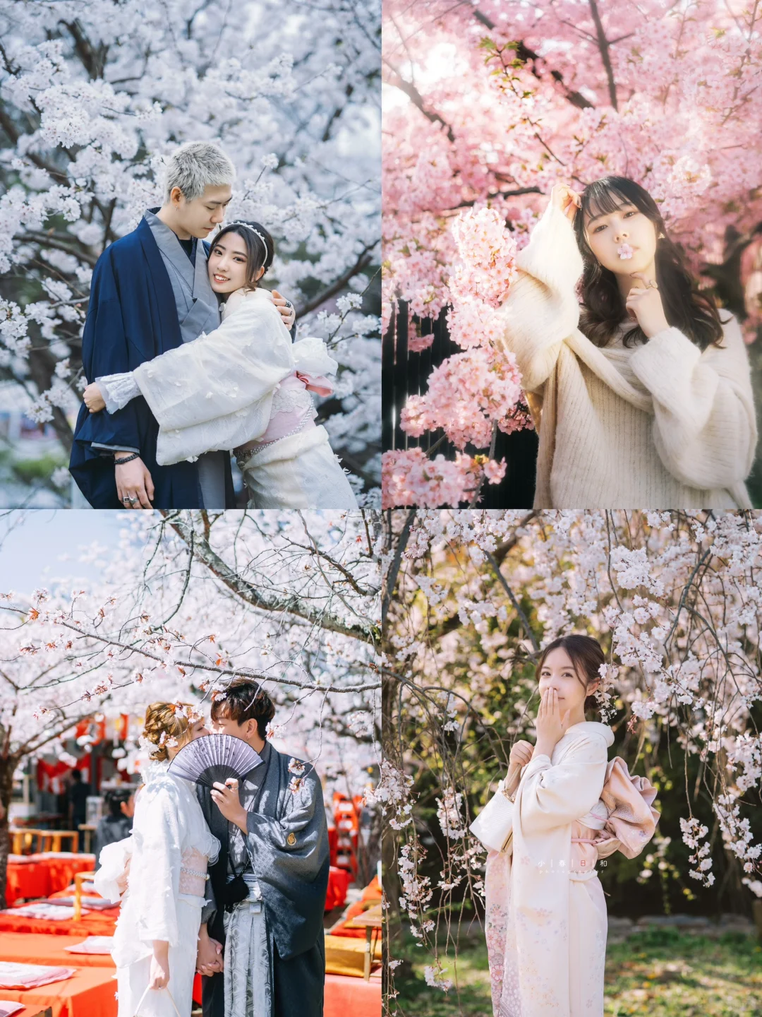 2024 Kyoto Cherry Blossoms 🌸 Must-Visit Photo Spots Recommendation 🥳🥰😘