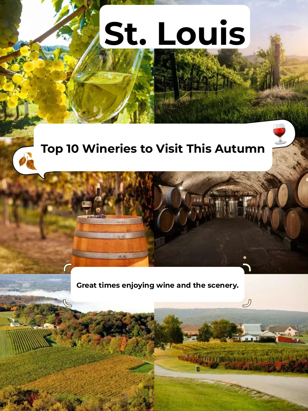 St. Louis 🍷 Vineyard | Here Lies the Poetry and Distant Dreams You Long For