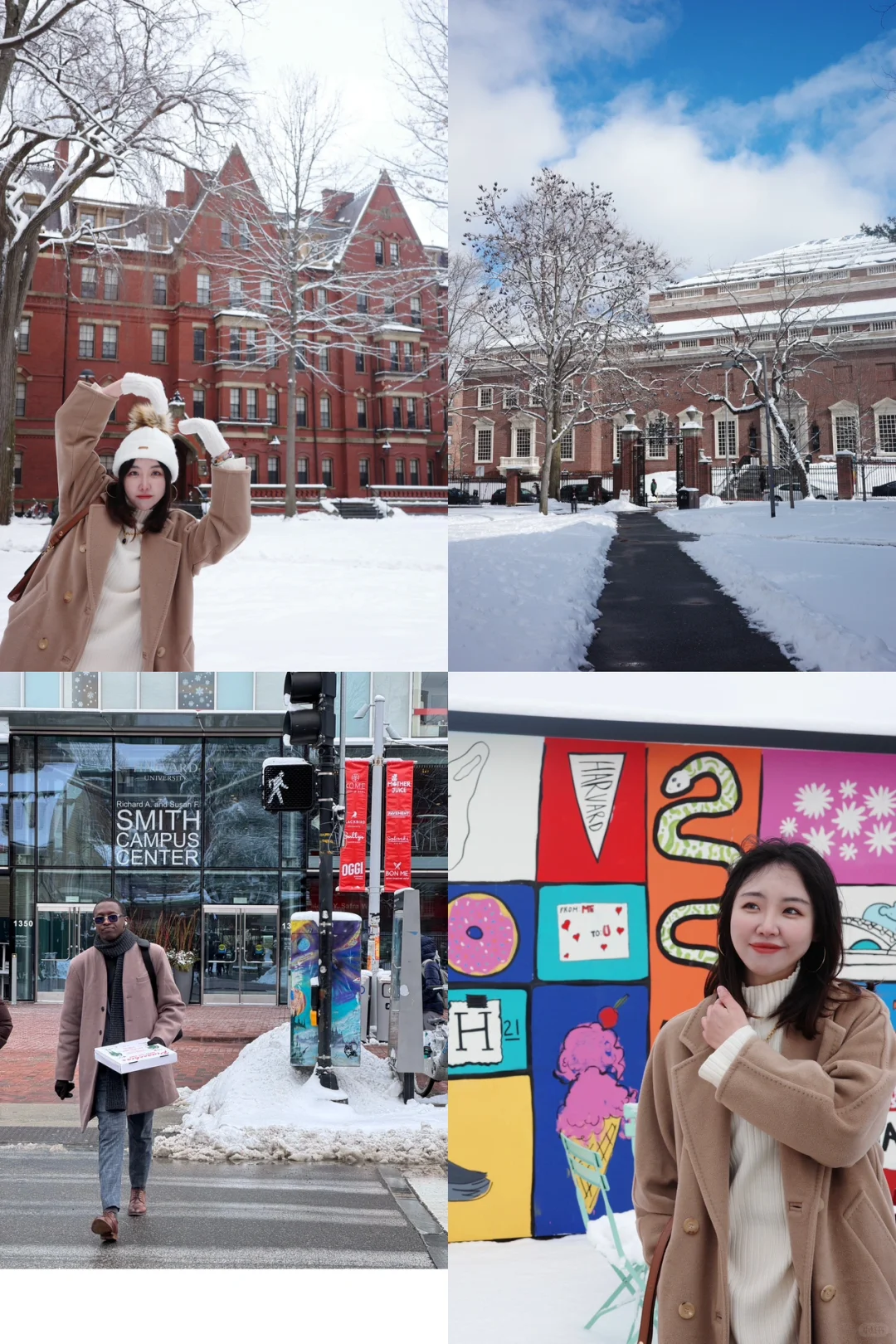 Boston's Last Snowfall? A Guide to Hidden Gems at Harvard