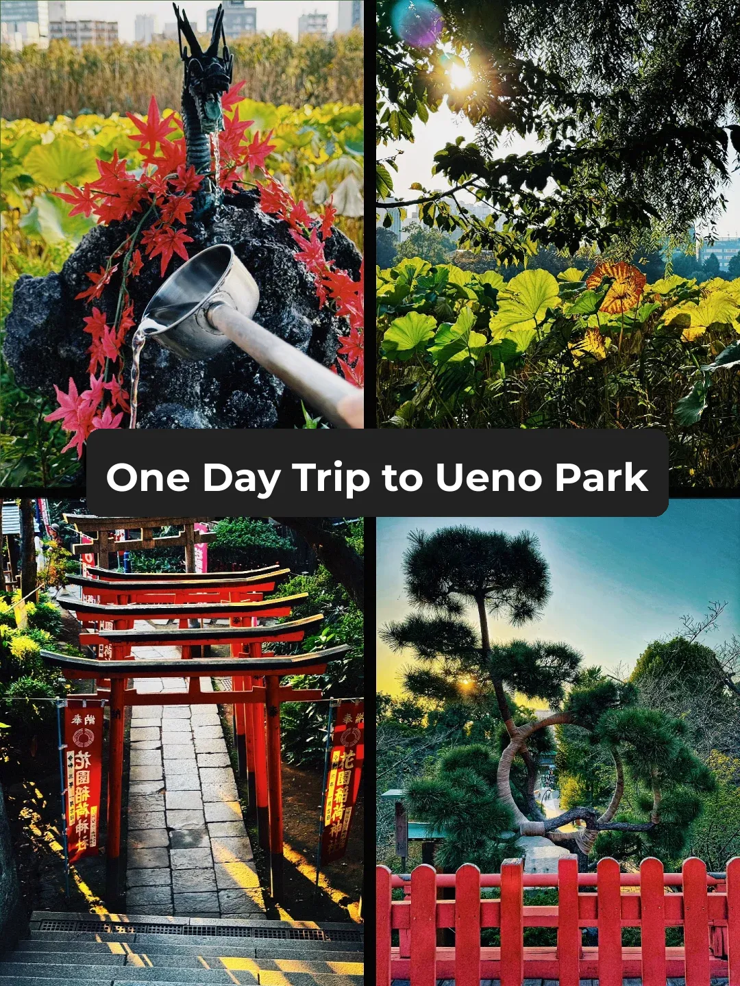 Tokyo Travel Guide | A Chill Day at Ueno Park