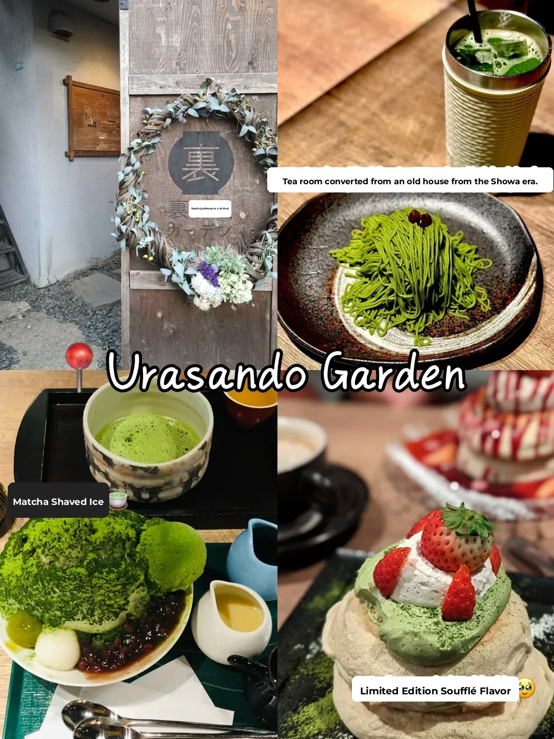 Tokyo Free & Easy ㊙️ | The Ultimate Omotesando Day Trip Itinerary