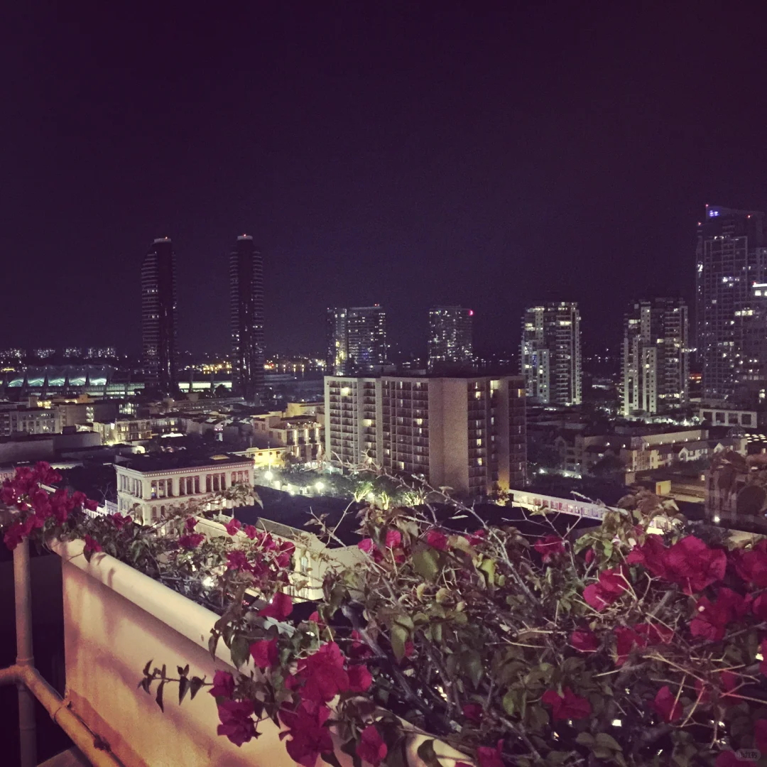 Most Stunning Night Views in San Diego Downtown