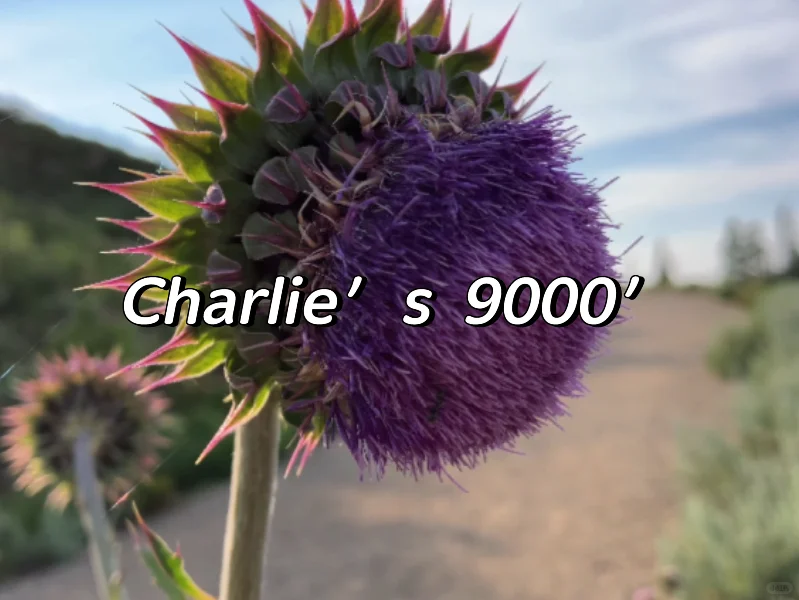 From DV to Park City | Utah | Salt Lake City