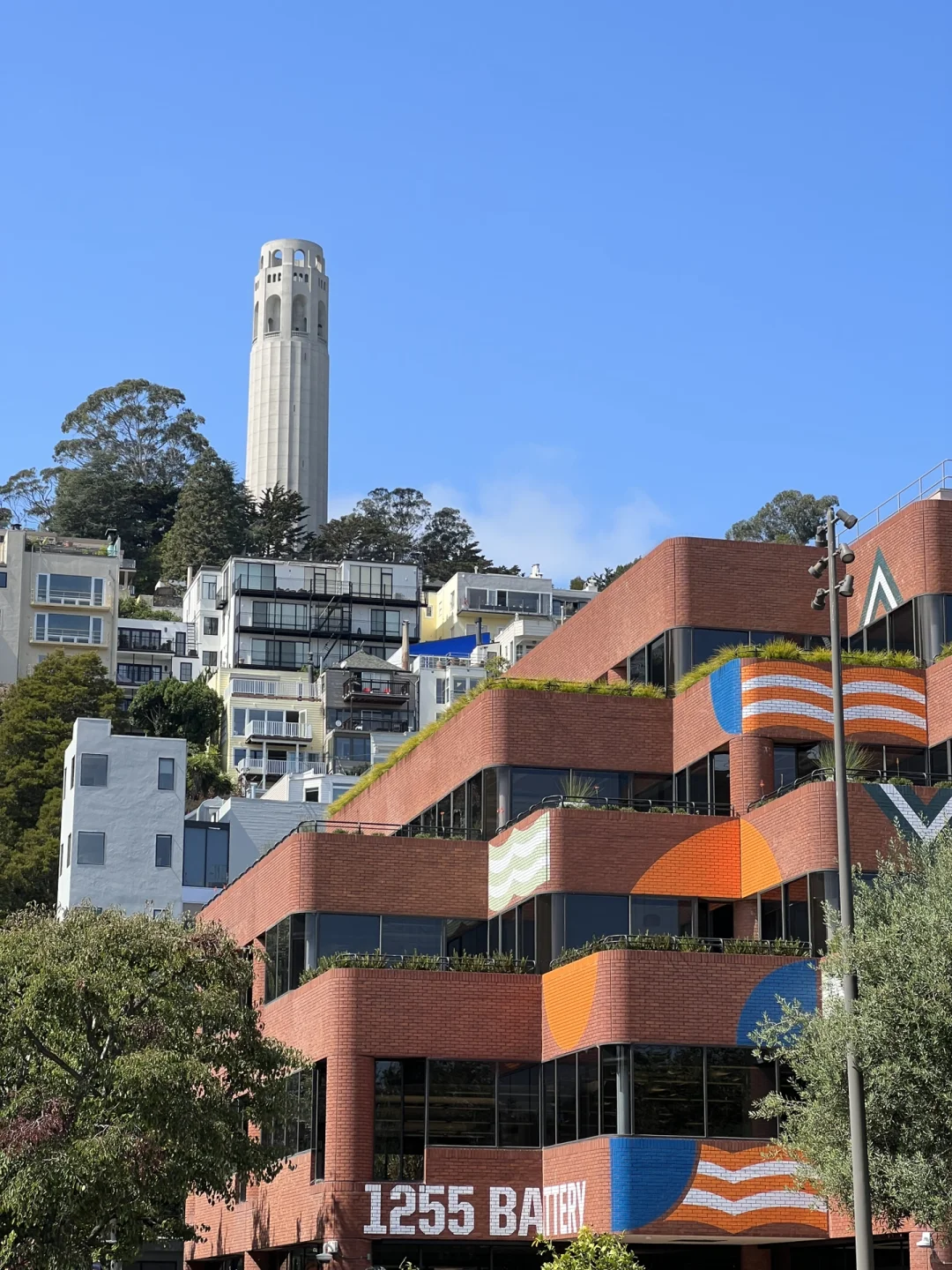 Trail Picks | Must-Visit Short Hiking Routes for Leg Day in the Bay Area