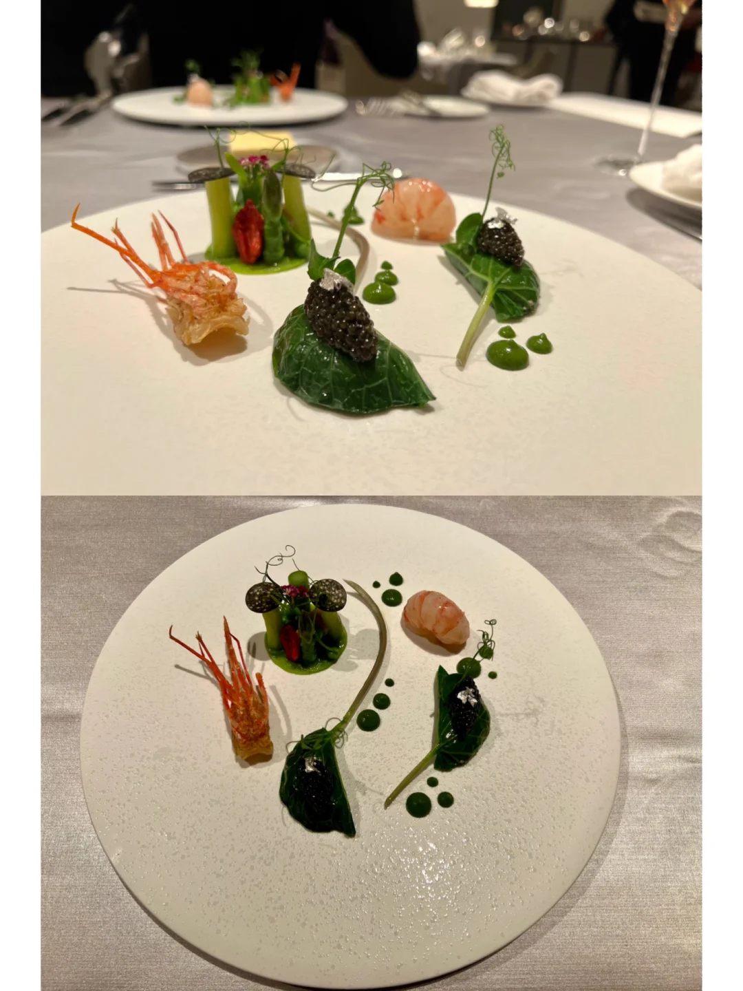 Tokyo Dining | Michelin Star Experience | Instagram-Worthy Dreamy French Cuisine