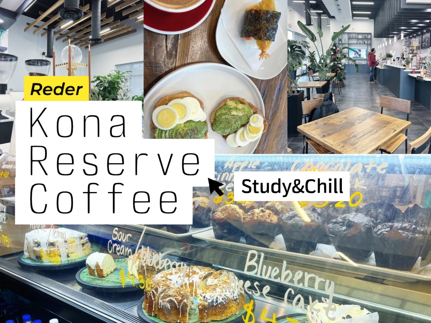 Want to Stay All Day｜Chill Hawaiian Vibes ☕️