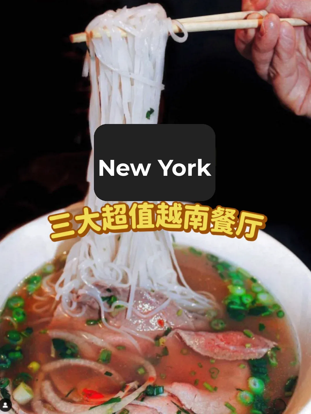 Skip the Detours❗️ Must-Try Best Value Vietnamese Food in NYC