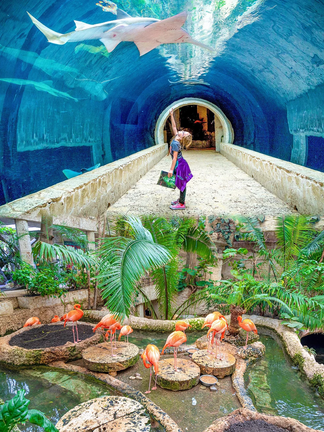 Travel Guide: 30 Must-Do Little Joys in Dallas!