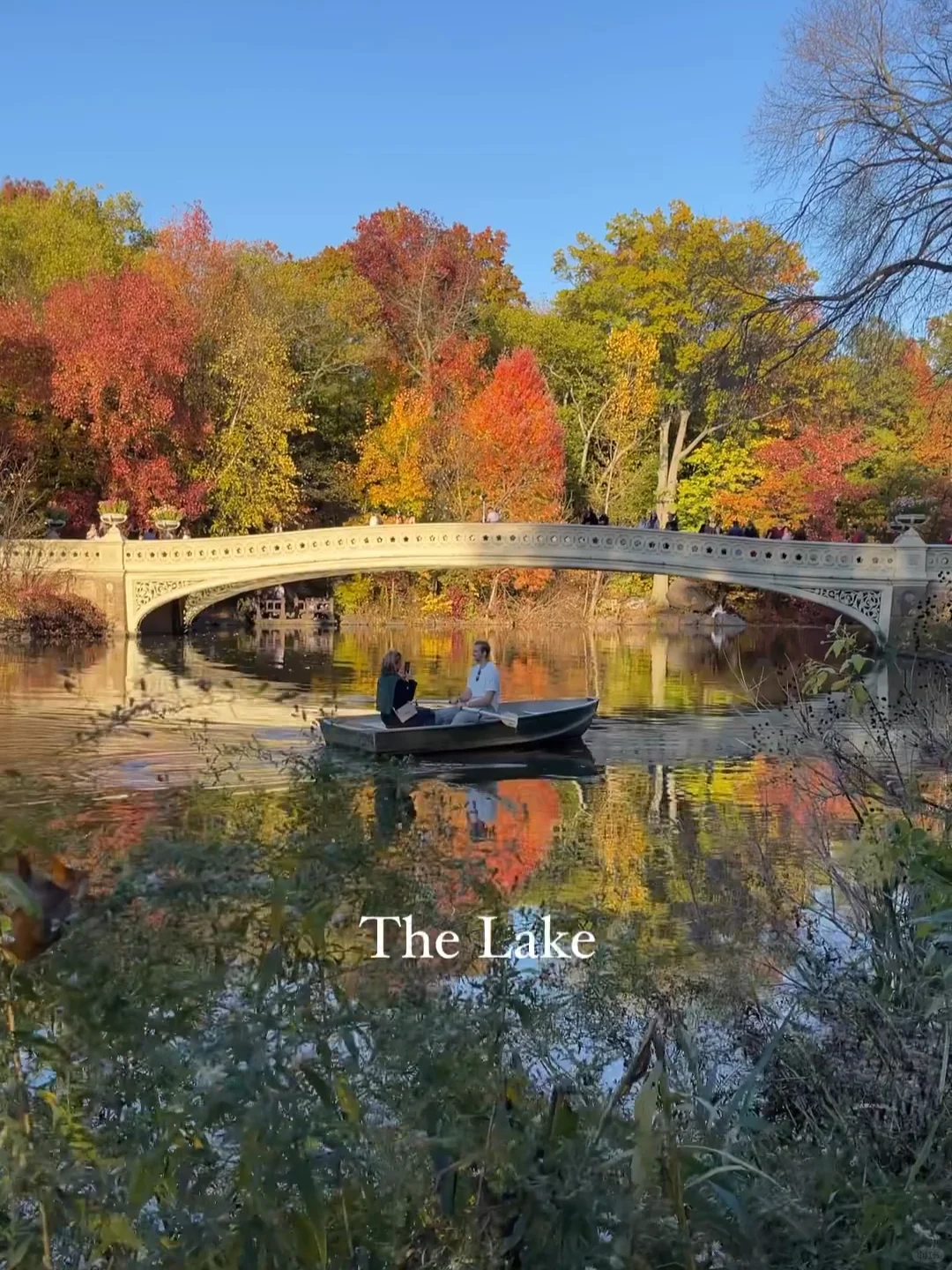 NYC Photo Spots: Central Park in Fall Has No Rival 🧡