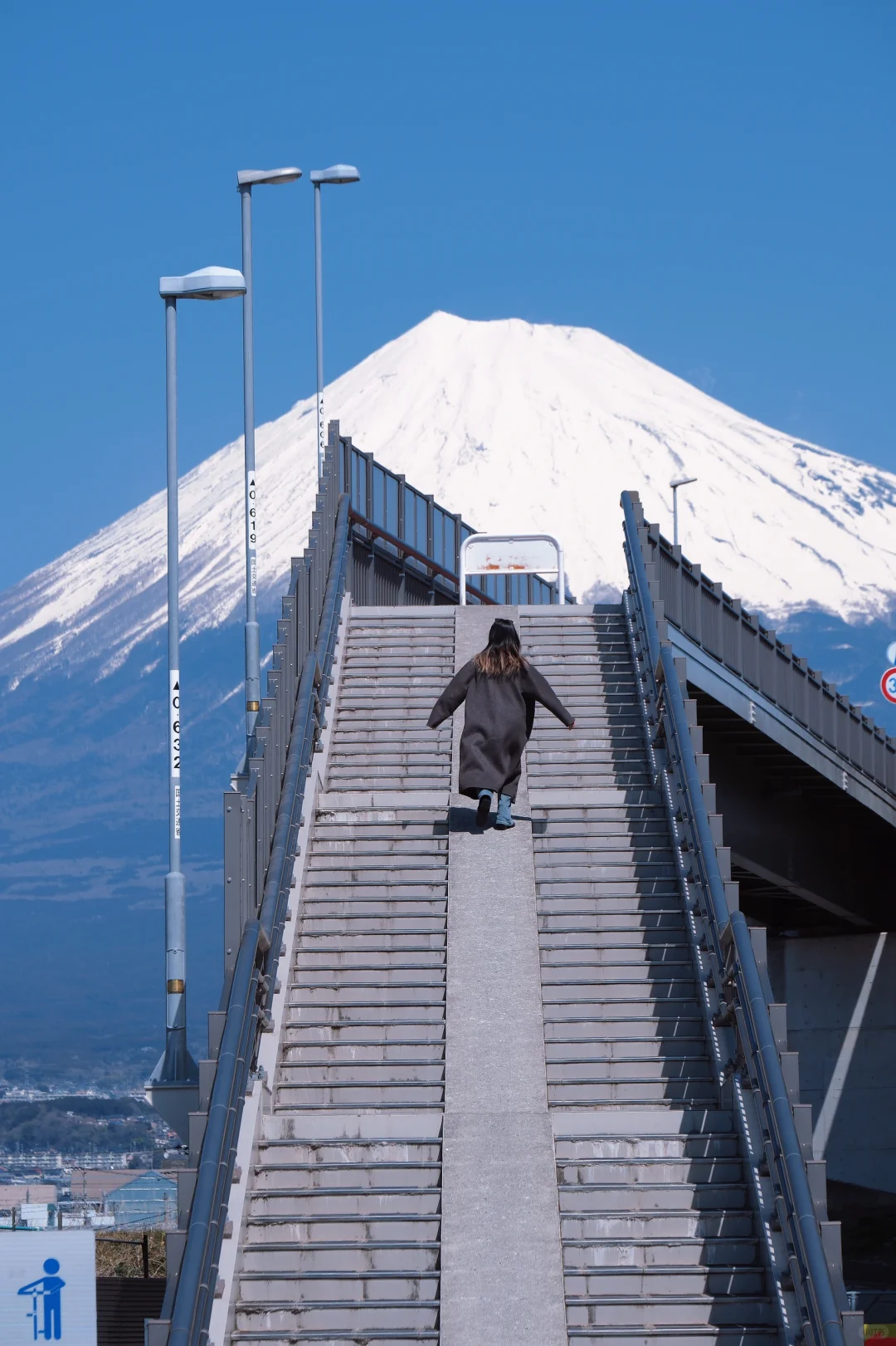 Tokyo Day Trip to See Mount Fuji 🗻 Guide 📖