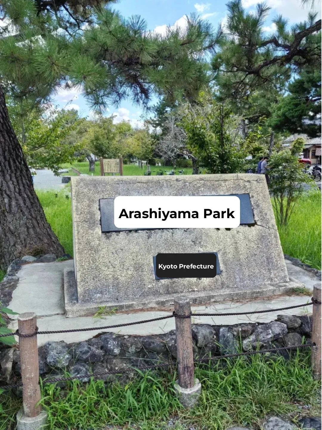 Family-Friendly Japan Itinerary 🌟 8 Days, 7 Nights: Tokyo, Osaka, Kyoto, Nara