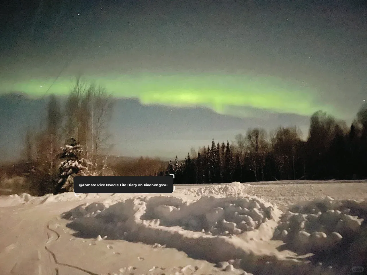 Alaska Trip Day 2: Fairbanks ❄️