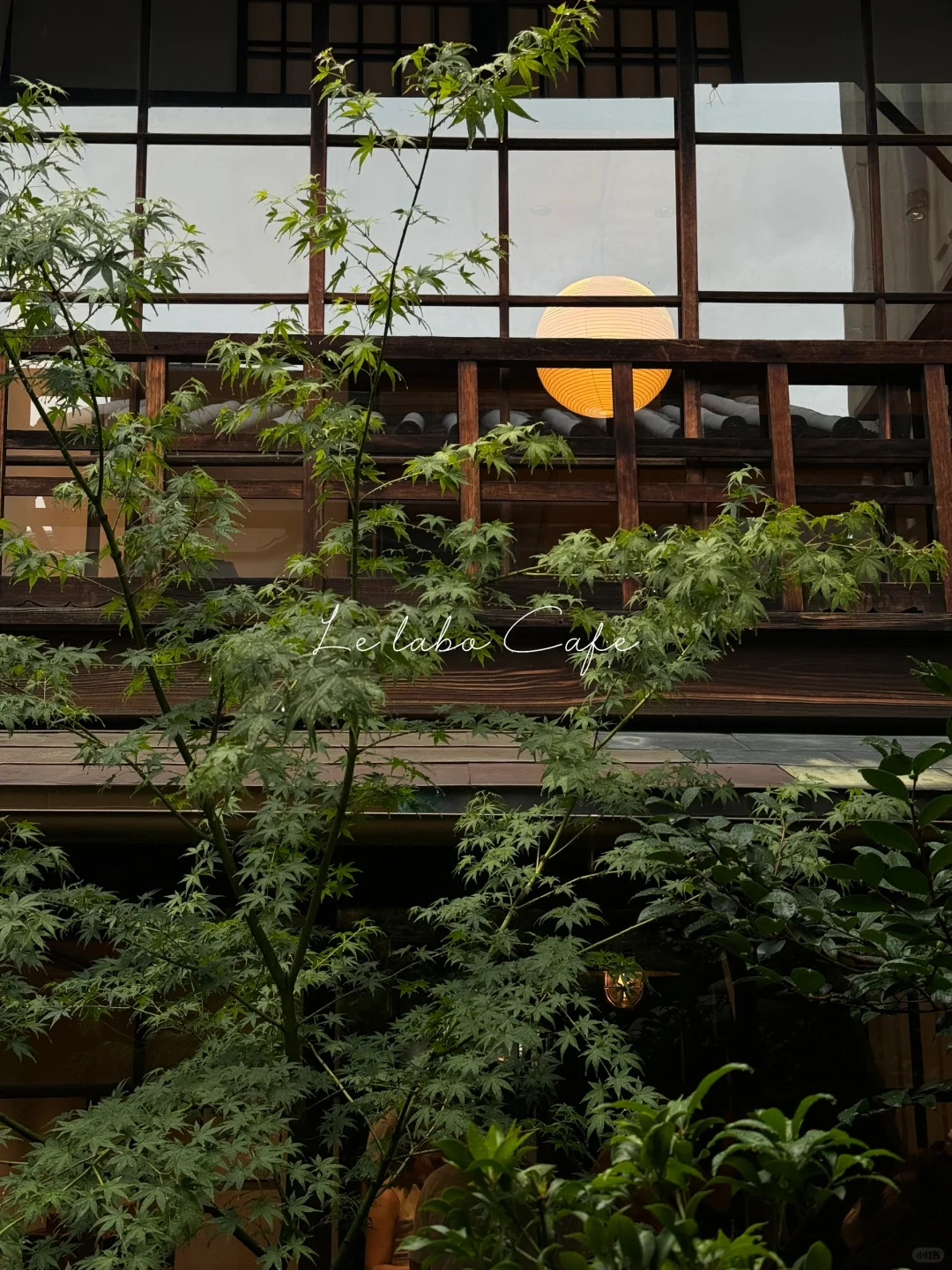 Healing Mind and Body in Kyoto | Must-Visit Spots | Super Chill and Relaxing